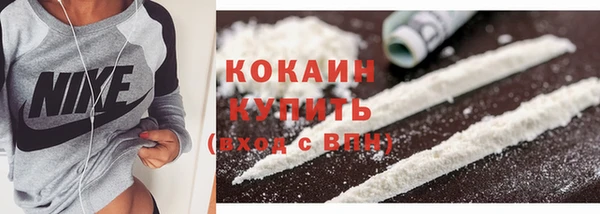 гидра Саяногорск