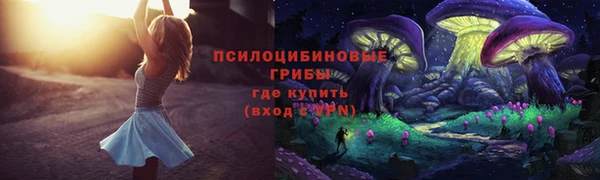 метадон Сафоново