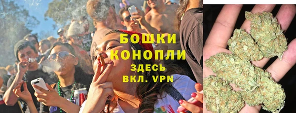 хмурый Сатка