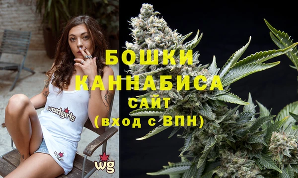 гидра Саяногорск