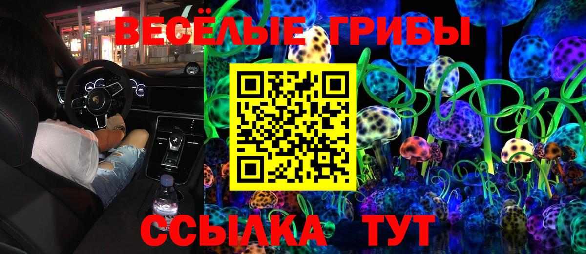 Аксай  Псилоцибиновые грибы MAGIC MUSHROOMS  Вход с VPN 